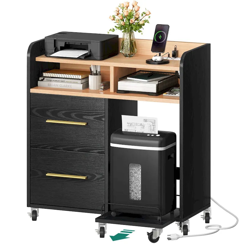 2-Drawer Rolling File Cabinet with Printer Stand Cart